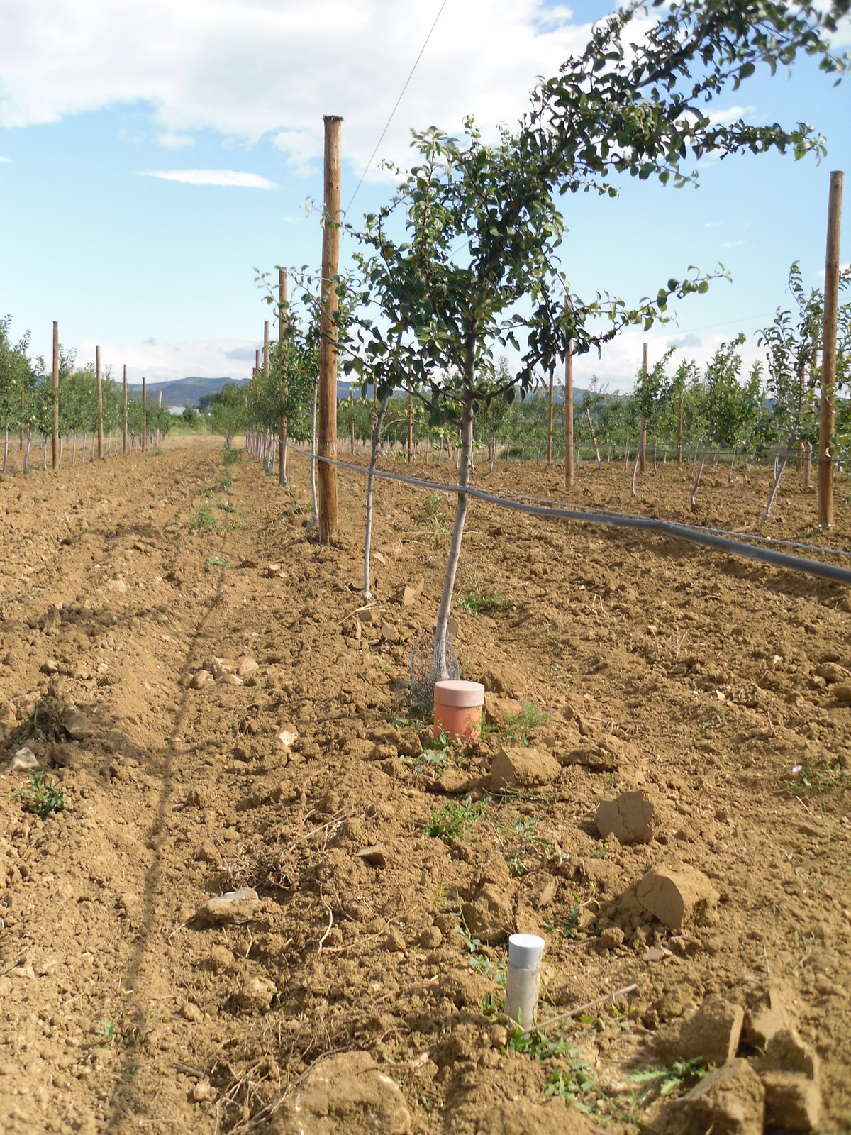 SoilNet Photo Gallery