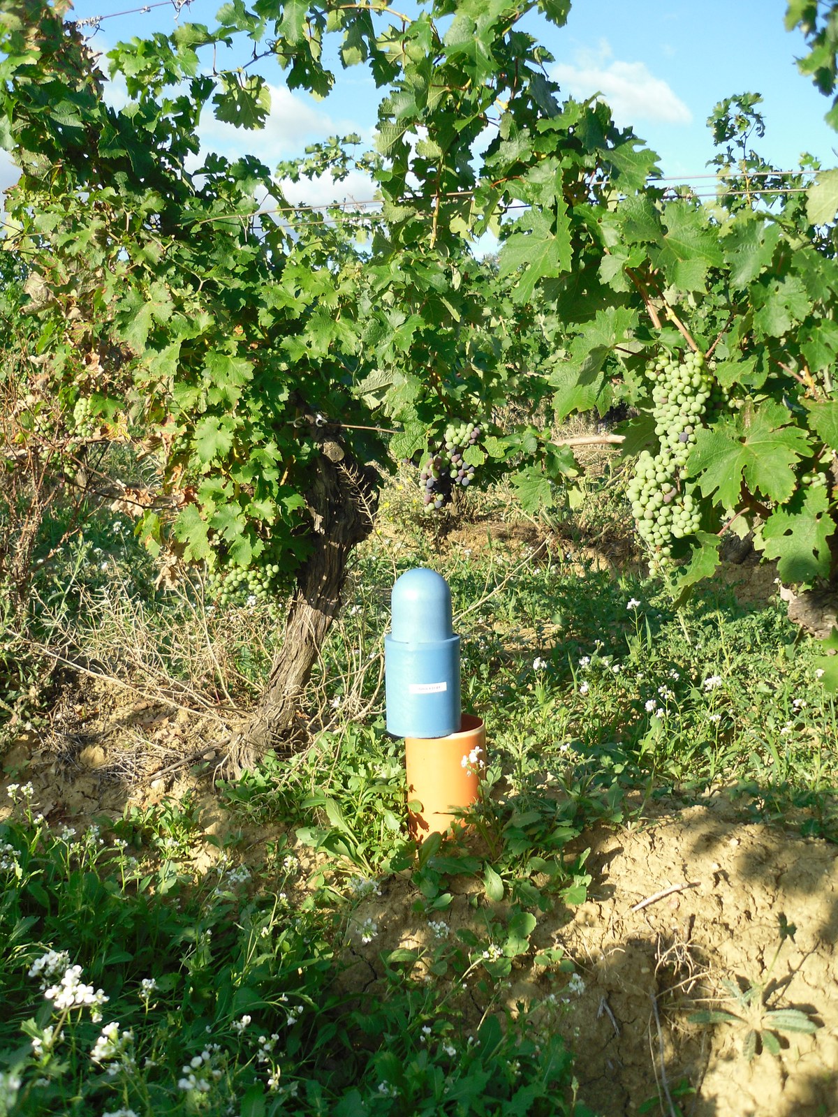 SoilNet Photo Gallery