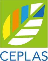 Wir sind Teil des Exzellenzclusters CEPLAS III – Cluster of Excellence on Plant Sciences an der Universität Düsseldorf