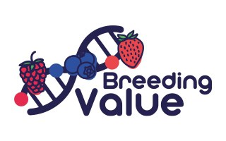 WEBINAR BreedingValue presents: The Germinate berry database