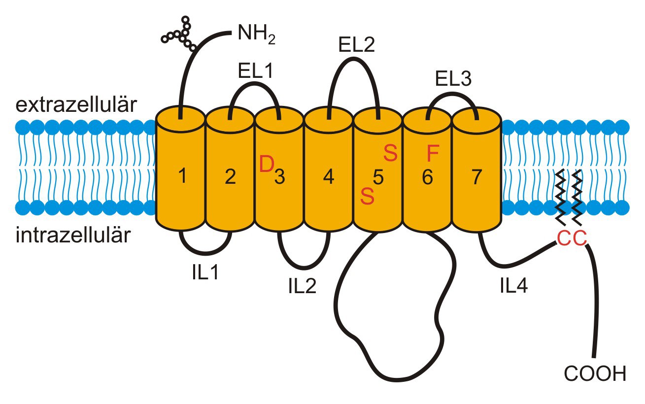 Gpcr Review 2022