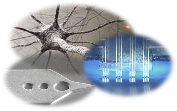 In vivo Neuroelectronics