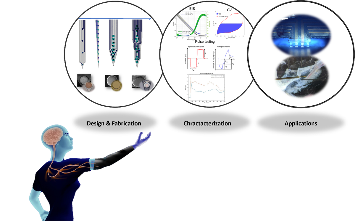 In vivo Neuroelectronics