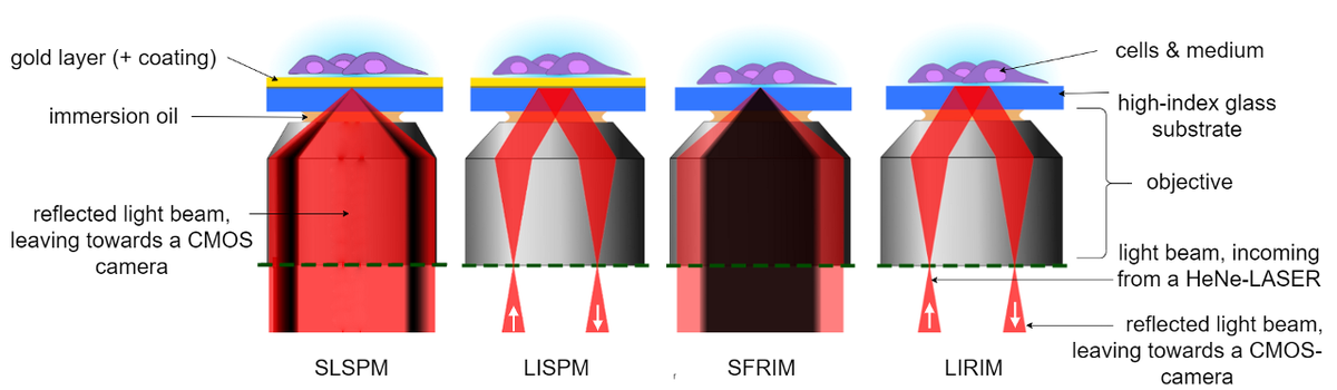 Neuron-device-interfaces