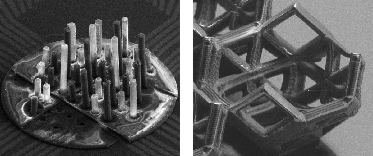 Scaffolds and 3D electrodes