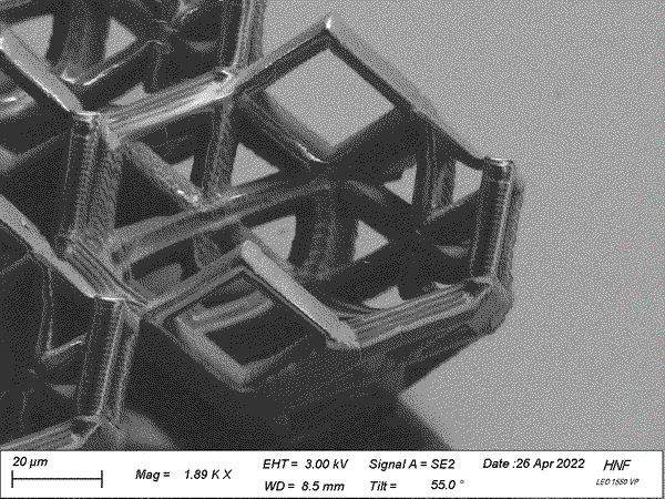 Scaffolds and 3D electrodes