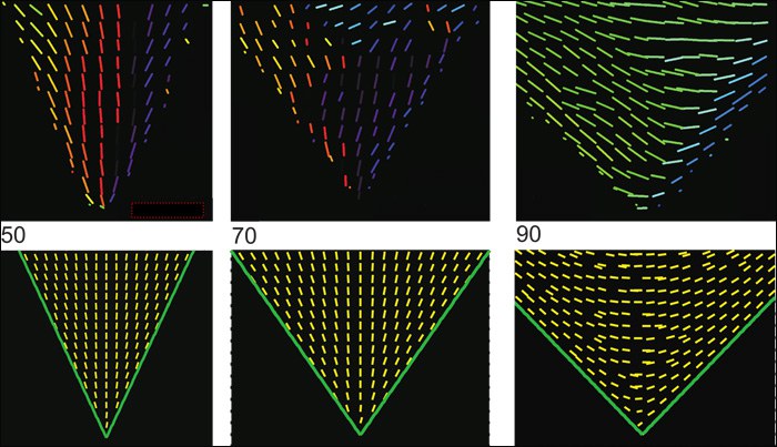 Colloidal_Rods.png
