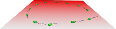 Bacterial-motion.jpg