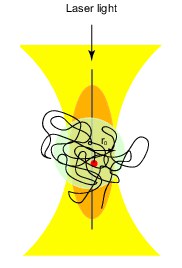 fcs_scheme_dna_long_jpg.jpg