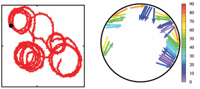 cell_motility.png.png