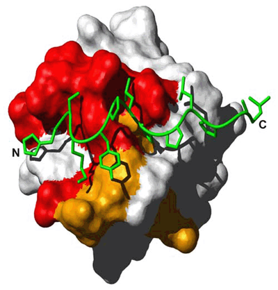NMR-Spektroskopie