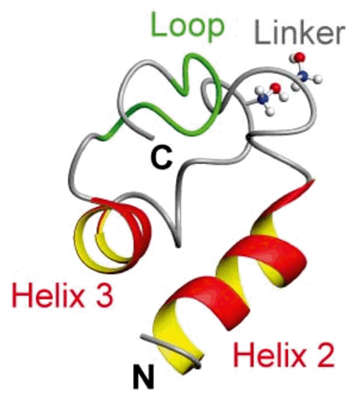 NMR-Spektroskopie