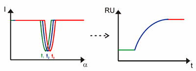 Oberflächenplasmonresonanz (SPR)