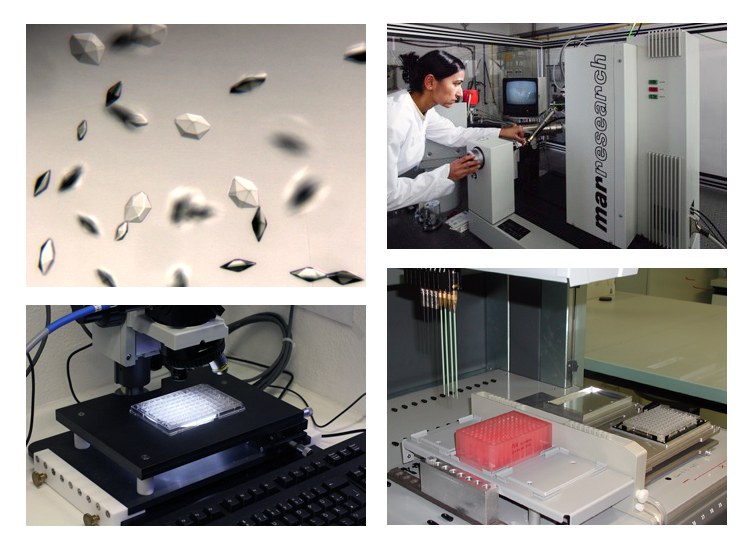 X-ray crystallography