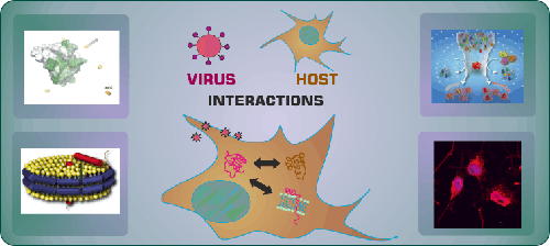 Virus-Wirt Wechselwirkungen