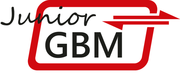 Junior-GBM Mentoring Programm