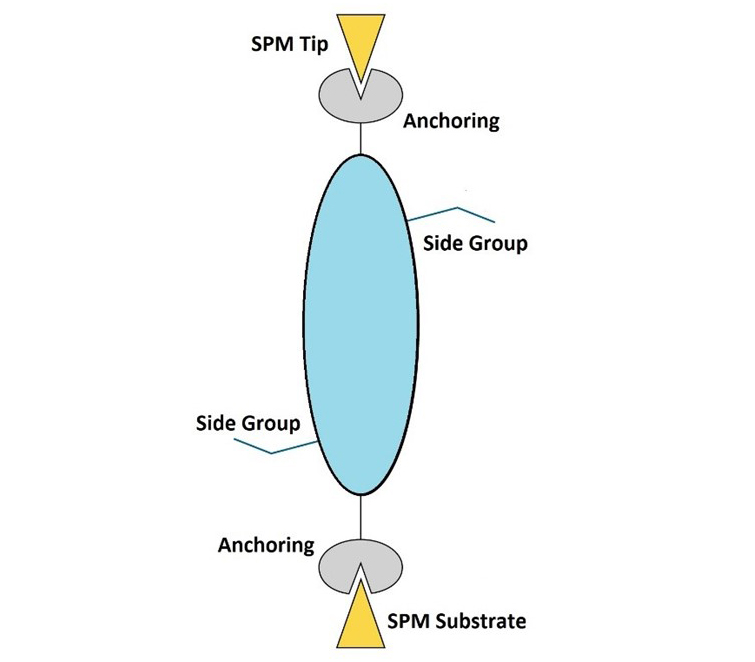 Spektroelektrochemie an Grenzflächen