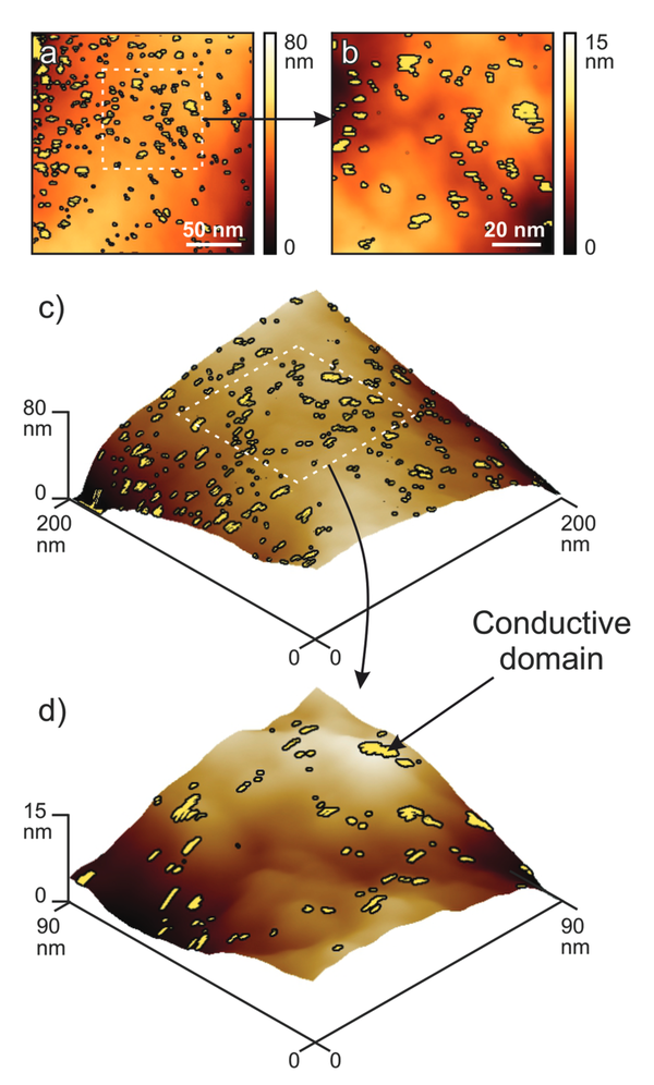 Carbonization-Temperature-Dependent Electrical Properties of Carbon Nanofibers—From Nanoscale to Macroscale