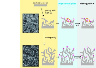 Metallic Lithium Anodes and Fast-Charging investigated by pulse EPR