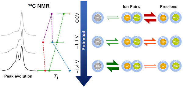 In operando NMR investigations of the aqueous electrolyte chemistry during electrolytic CO2 reduction