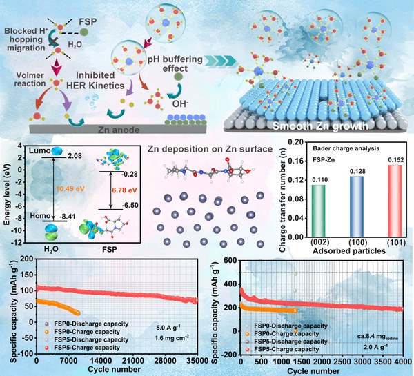Hydrogen-Bond Network-Mediated Solvation Engineering Enables Synchronous Optimization of Zinc Anodes Kinetics and Iodine Cathodes Redox