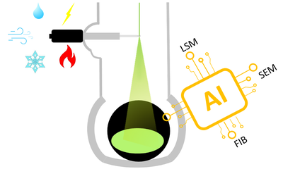 In-Situ Elektronen-Mikroskopie