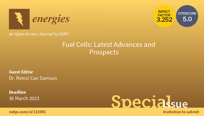 Sonderausgabe Fuel Cells bei „Energies“