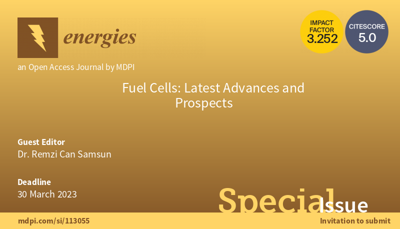 Sonderausgabe Fuel Cells bei „Energies“