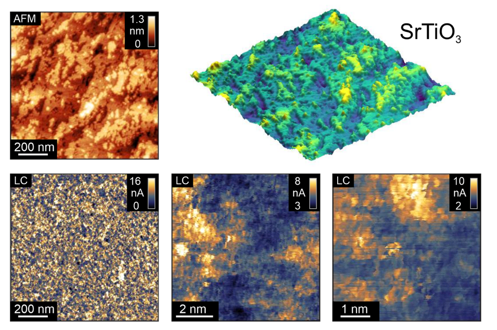 Bildgebende Analysemethoden