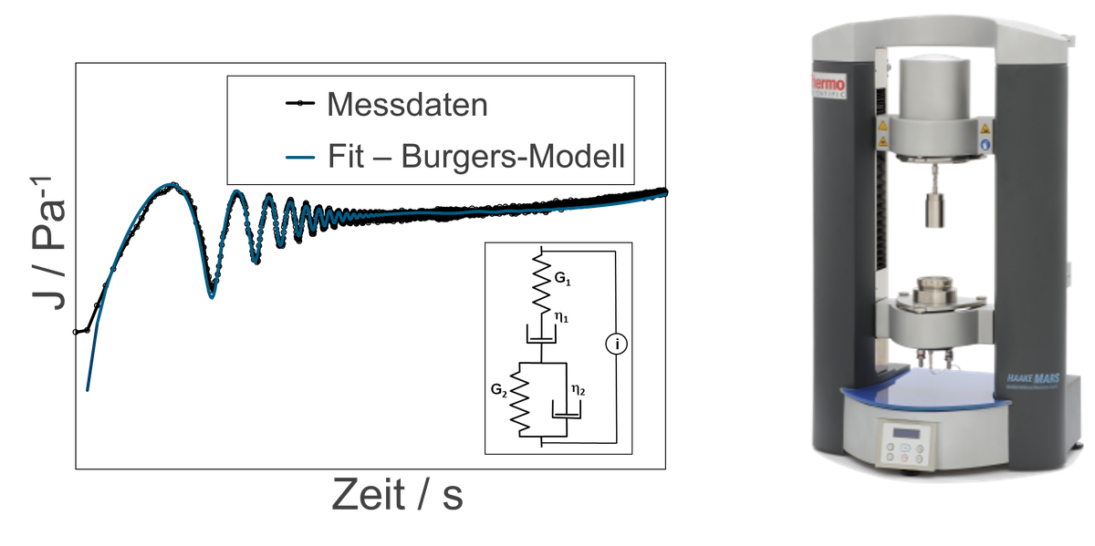 Strukturbildungsprozesse