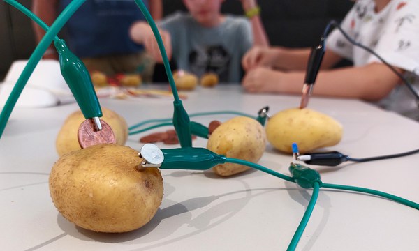 Kinder erforschen die Funktionsweise von Batterien