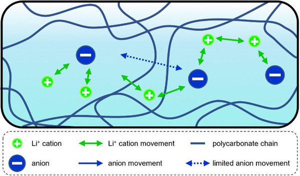 Hohe Überführungszahlen in Lithiummetallbatterien analysiert