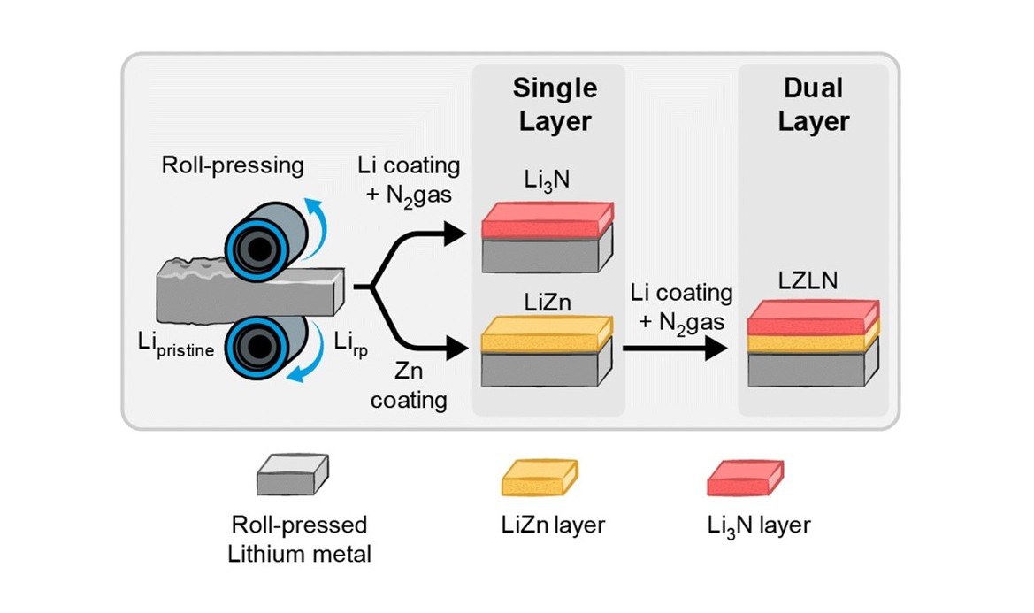 Zweiphasige Schutzschicht verbessert Zyklenstabilität von Lithium-Metall-Batterien