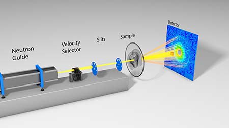 Hirnveränderungen unter der "Neutronenlupe"