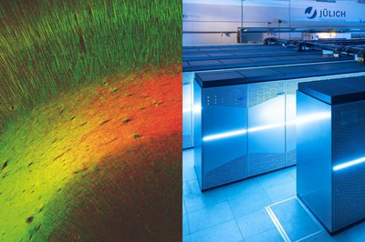BrainComp 2022: Experten aus den Bereichen Neurowissenschaften und Informatik diskutieren über die digitale Transformation der Neurowissenschaften und die Vorteile einer Zusammenarbeit