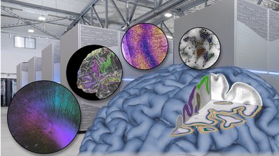 Human Brain Project: Jülicher Forscher erklären in Science wie die Hirnforschung das Supercomputing herausfordert