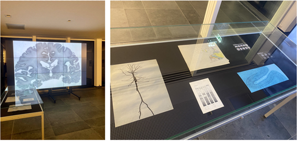 NRW-Akademie: Hirnforschung, Medienkunst und Literatur im Dialog