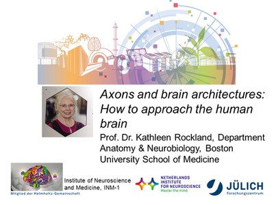 Vortrag im Rahmen von "Wissenschaft online" von Prof. Kathleen Rockland am 19.04.2021