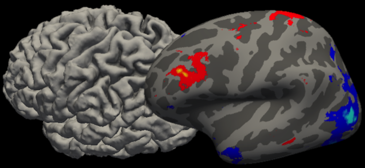 Was Bedeutet Serveridentität Kann Nicht überprüft Werden AG%20Konnektivit%C3%A4t_Oberfl%C3%A4chenStruktur.poster.png