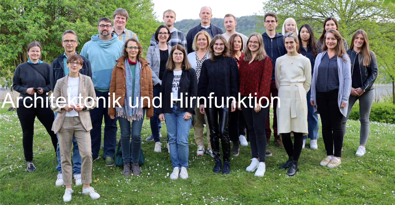 Architektonik und Hirnfunktion