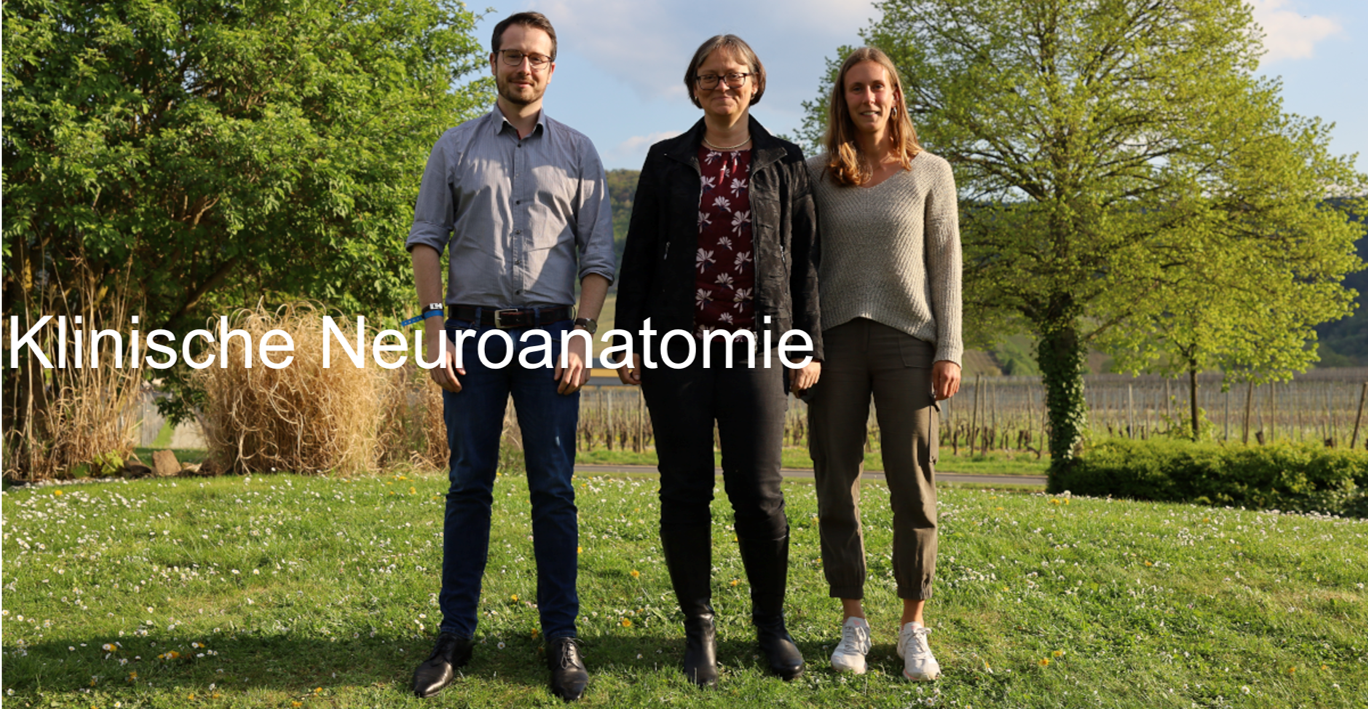 Klinische Neuroanatomie