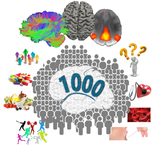 1000Gehirne