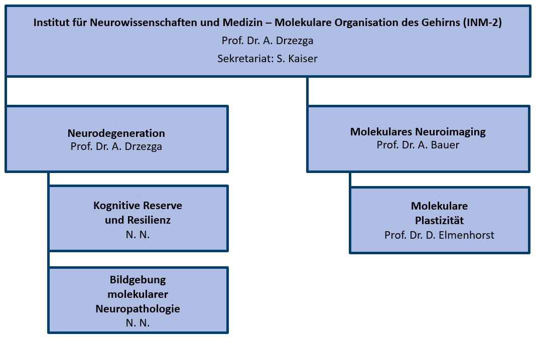 Organisation