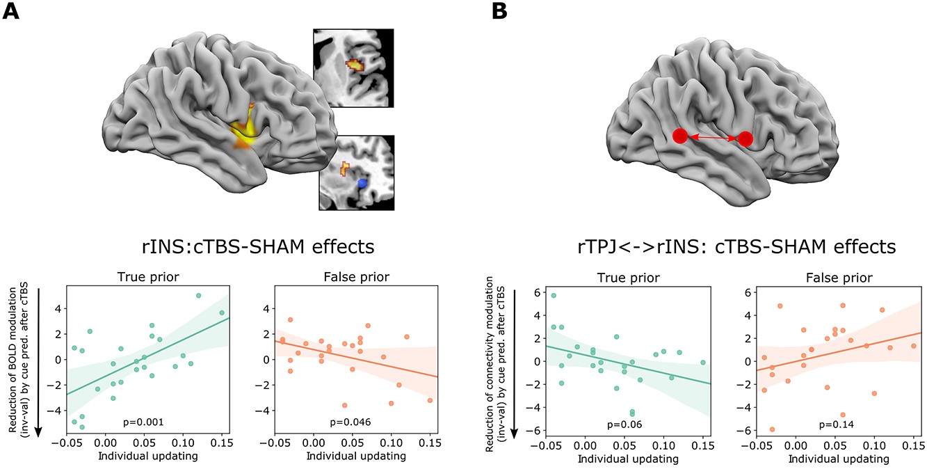 Combined TMS-fMRI reveals behavior-dependent network effects of right temporoparietal junction neurostimulation in an attentional belief updating task