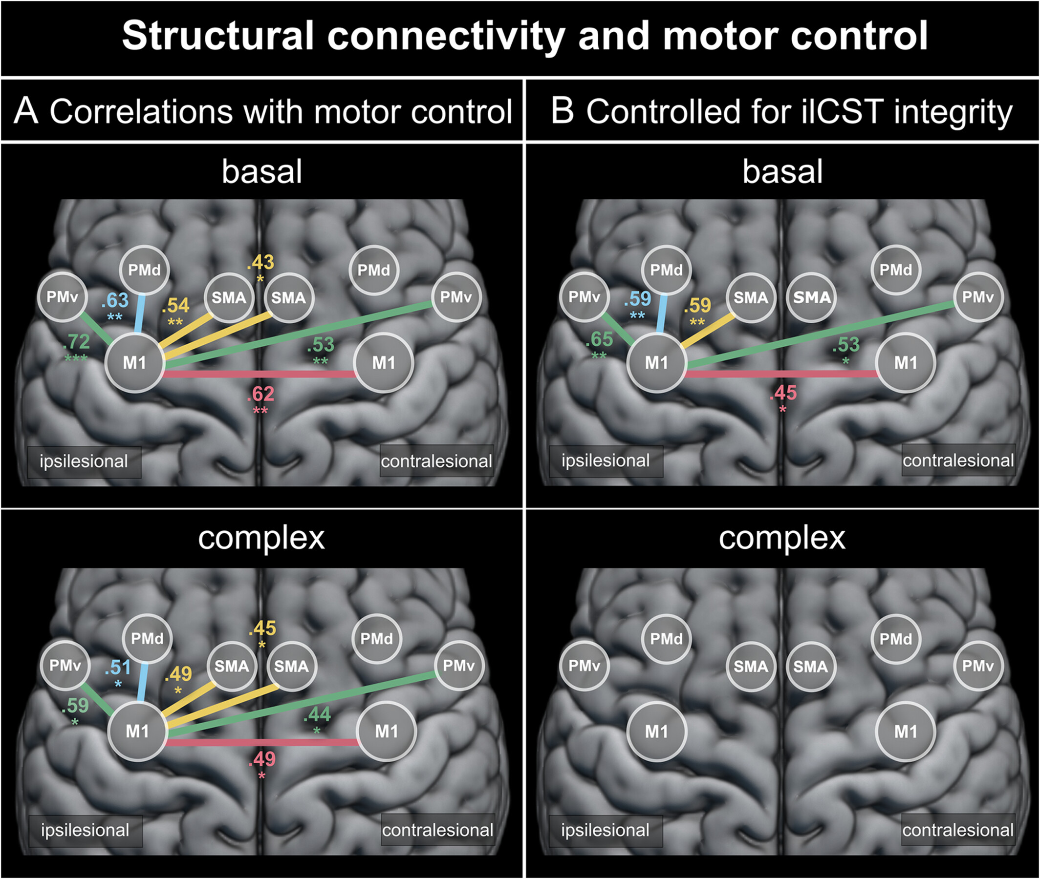 Interhemispheric structural connectivity underlies motor recovery after