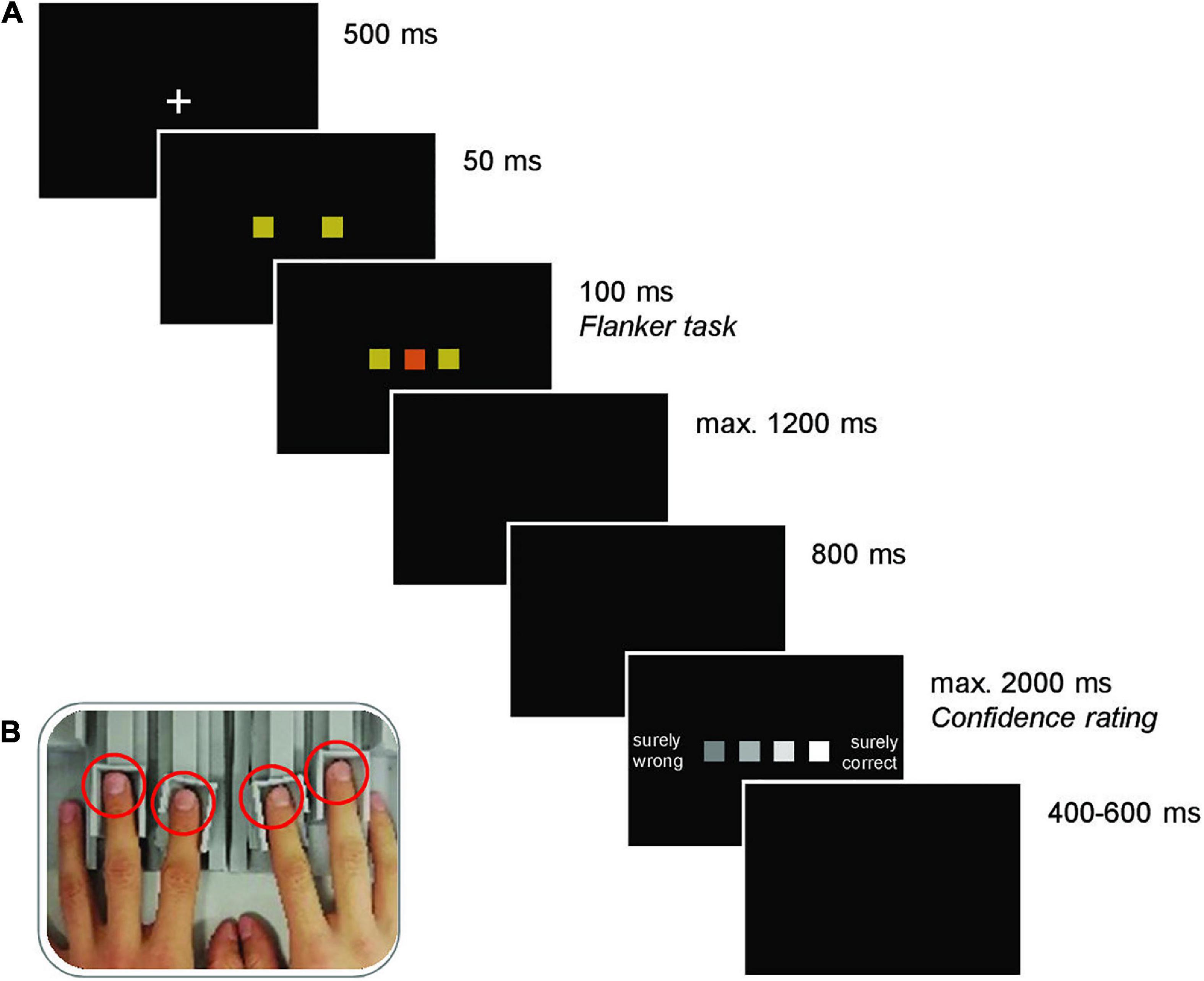 The relationship between response dynamics and the formation of confidence varies across the lifespan