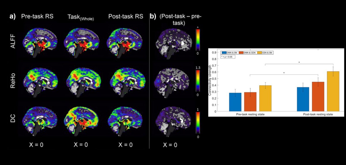 Assessing functional connectivity in the triple resting-state networks