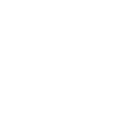 Physik der Medizinischen Bildgebung (INM-4)