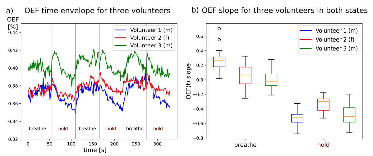 Oxygen Extraction Fraction basierend auf der 10-echo GE-SE EPIK Sequenz