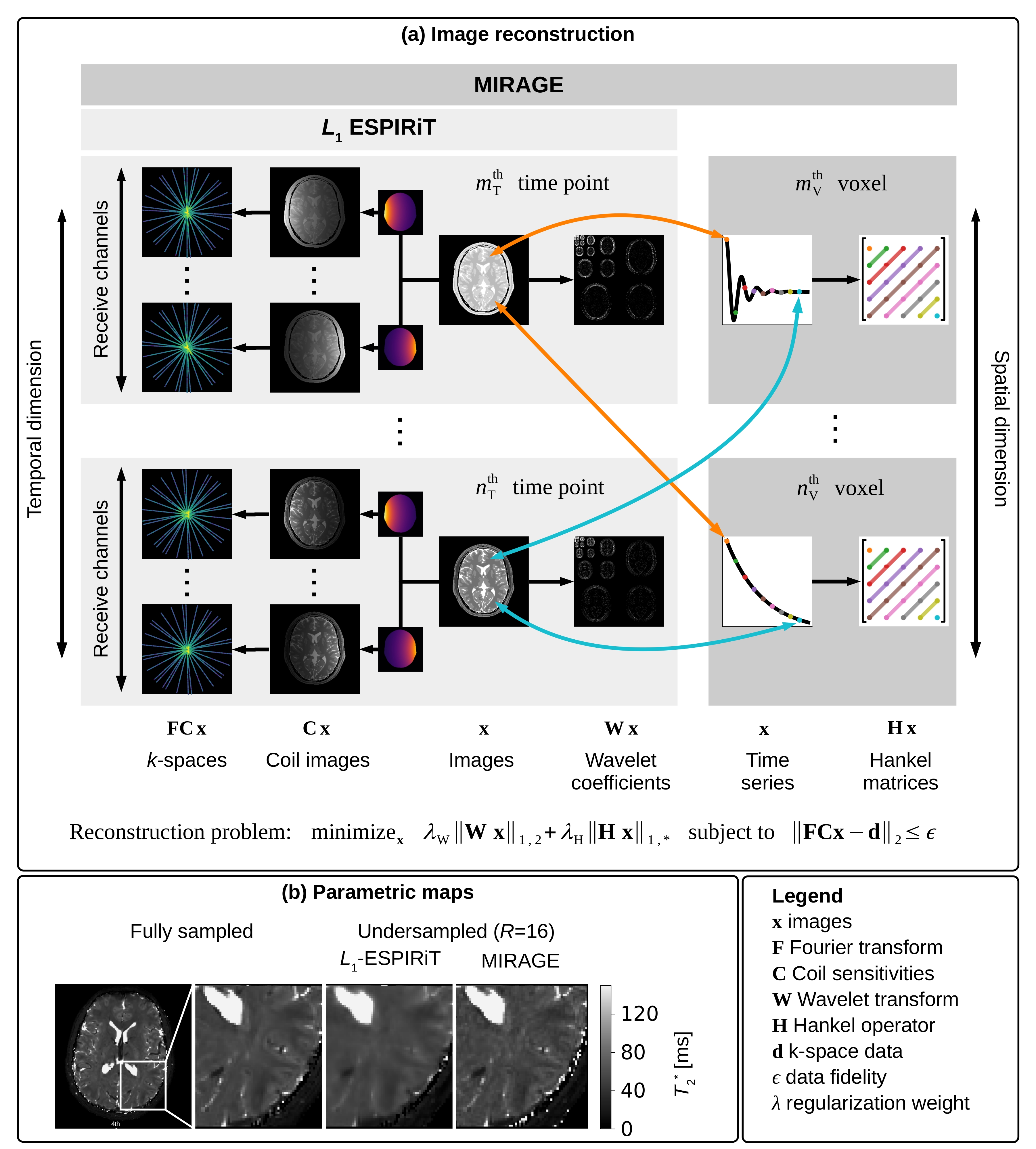 Quantization Radiology Beschleunigte quantitative MRT